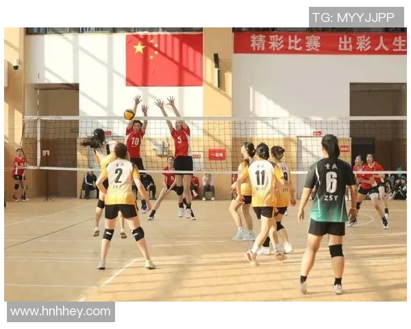 武汉排球队与重庆排球队耐力对决赛后分析与总结